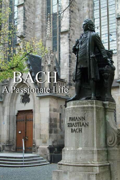 John Eliot Gardiner explores the life and artistry of Johann Sebastian Bach. The film contrasts the well-known portrait of Bach as a stern, older man with the period of extraordinary creativity that preceded it. Through a journey across Germany, Gardiner examines the scarce biographical details available and utilizes Bach's music to illuminate the personality of this complex individual—a passionate artist, devoted family man, and a spirit that questioned authority, ultimately creating enduring musical masterpieces.